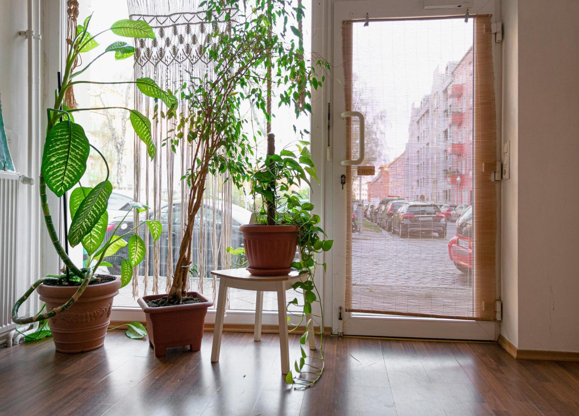 Boutique Altbau Apartment เบอร์ลิน ภายนอก รูปภาพ